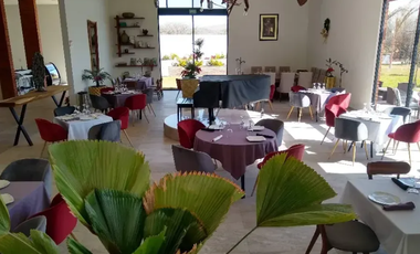 HOTEL BOUTIQUE EN CADEREYTA : Zona Centro : A Pasos de la Parroquia de San Pedro y San Pablo y Jardines Botánicos