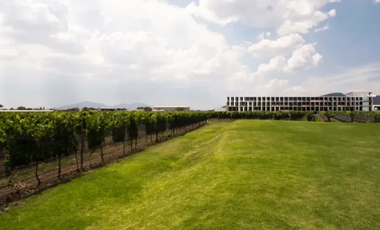 HOTEL BOUTIQUE EN CADEREYTA : Zona Centro : A Pasos de la Parroquia de San Pedro y San Pablo y Jardines Botánicos