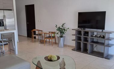 Departamento amueblado en renta en Torre Sky Pitic piso 11