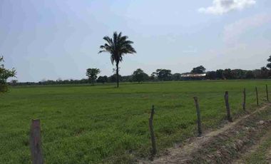 VENTA ISLA LA BAHIA DE CHETUMAL. QUINTANA. ROO.