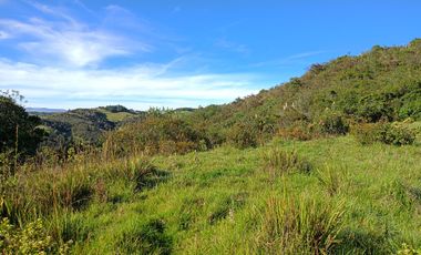 VENDO PROPIEDAD EN TUTUPALI CHICO