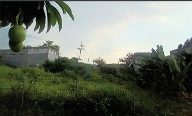 Tanah dijual di RW 02, Semolowaru, Sukolilo, Surabaya, Jawa Timur