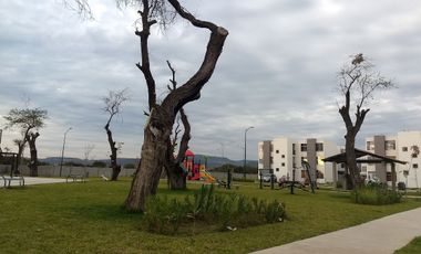 RENTA DE DEPARTAMENTO AMUEBLADO EN LOS HEROES DE LEON