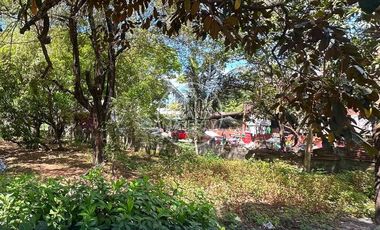 For Sale Residential Vacant Lot in Bocaue, Bulacan | Roadside Property Near NLEX & Philippine Arena
