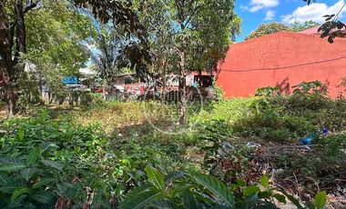 For Sale Residential Vacant Lot in Bocaue, Bulacan | Roadside Property Near NLEX & Philippine Arena