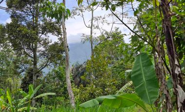tanah super datar view gunung dan dekat dengan wisata jatiluih