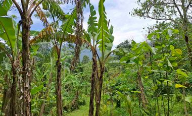 tanah super datar view gunung dan dekat dengan wisata jatiluih