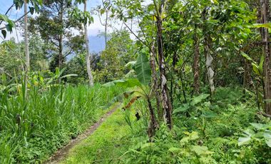 tanah super datar view gunung dan dekat dengan wisata jatiluih