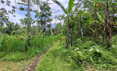 tanah super datar view gunung dan dekat dengan wisata jatiluih