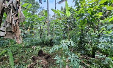 tanah super datar view gunung dan dekat dengan wisata jatiluih