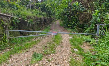 Vendo casa de campo a 20 minutos de Santo Domingo.