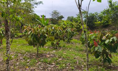Vendo casa de campo a 20 minutos de Santo Domingo.