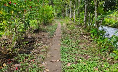 Vendo casa de campo a 20 minutos de Santo Domingo.