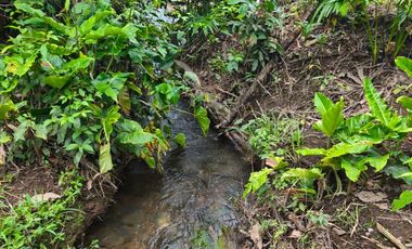 Vendo casa de campo a 20 minutos de Santo Domingo.