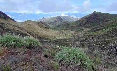 se vende finca de 3.000 hectáreas en el Angel Carchi Ecuador