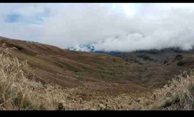 se vende finca de 3.000 hectáreas en el Angel Carchi Ecuador