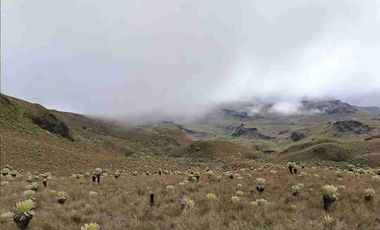 se vende finca de 3.000 hectáreas en el Angel Carchi Ecuador