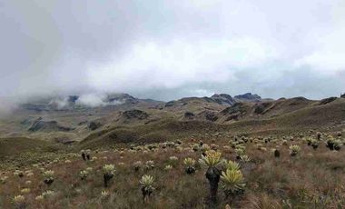 se vende finca de 3.000 hectáreas en el Angel Carchi Ecuador