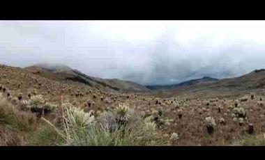 se vende finca de 3.000 hectáreas en el Angel Carchi Ecuador
