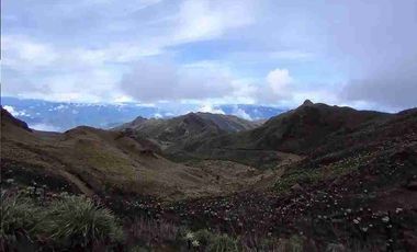 se vende finca de 3.000 hectáreas en el Angel Carchi Ecuador