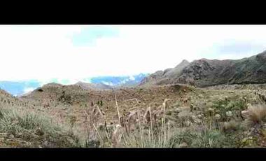 se vende finca de 3.000 hectáreas en el Angel Carchi Ecuador