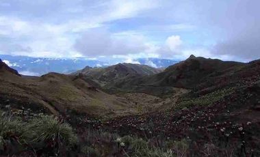 se vende finca de 3.000 hectáreas en el Angel Carchi Ecuador
