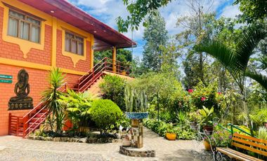 Imagina, inviertiendo en Lamas tienes la posibilidad de acercarte a lo auténtico, lo tradicional, lo ancestral.