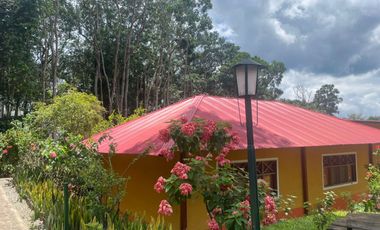 Imagina, inviertiendo en Lamas tienes la posibilidad de acercarte a lo auténtico, lo tradicional, lo ancestral.