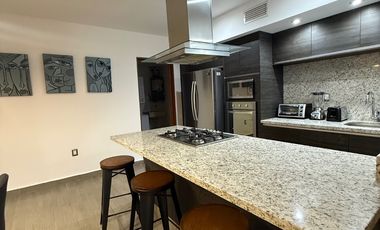 Departamento amueblado y equipado en renta zona norte