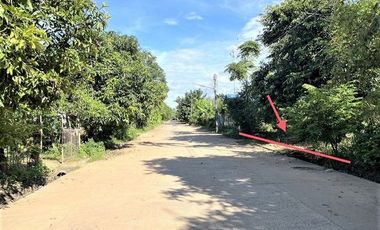 J10132 ขายบ้านเดี่ยว ตำบล เชียงขวัญ อำเภอ เชียงขวัญ ร้อยเอ็ด