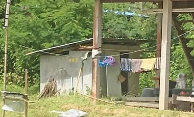 J13206 ขายบ้านเดี่ยว ตำบล น้ำคำ อำเภอ สุวรรณภูมิ ร้อยเอ็ด