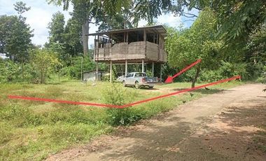 J13206 ขายบ้านเดี่ยว ตำบล น้ำคำ อำเภอ สุวรรณภูมิ ร้อยเอ็ด