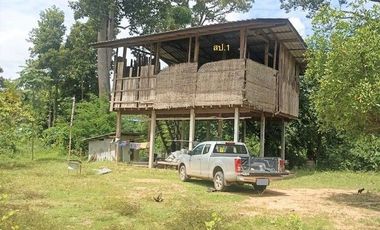 J13206 ขายบ้านเดี่ยว ตำบล น้ำคำ อำเภอ สุวรรณภูมิ ร้อยเอ็ด