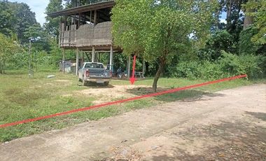 J13206 ขายบ้านเดี่ยว ตำบล น้ำคำ อำเภอ สุวรรณภูมิ ร้อยเอ็ด