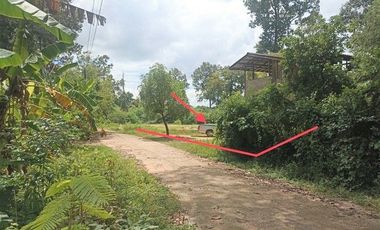 J13206 ขายบ้านเดี่ยว ตำบล น้ำคำ อำเภอ สุวรรณภูมิ ร้อยเอ็ด