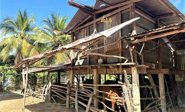 J05905 ขายบ้านเดี่ยว ตำบล โคกสว่าง อำเภอ พนมไพร ร้อยเอ็ด