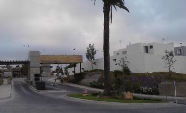 🏡✨ ¡Departamento Ejecutivo Amueblado en Renta en Bonaterra! ✨🏡