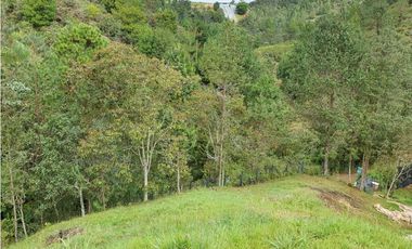 Lote en Pantanillo por chuscal el retiro
