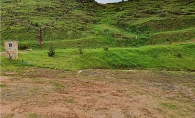 Lote en Pantanillo por chuscal el retiro