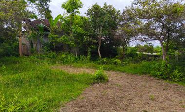 Tanah Hook Murah Bonus Rumah Gunung Payung Kutuh Bali