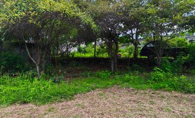 Tanah Hook Murah Bonus Rumah Gunung Payung Kutuh Bali