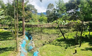 SE VENDE TERRENO CON CASA DE CAMPO EN OXAPAMPA CON VISTA Y SALIDA AL RIO CHOROBAMBA Y CON PARCELA AGRICOLA