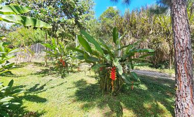 SE VENDE TERRENO CON CASA DE CAMPO EN OXAPAMPA CON VISTA Y SALIDA AL RIO CHOROBAMBA Y CON PARCELA AGRICOLA