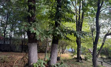 “Venta excelente  propiedad  especial  centro de eventos   y otros “