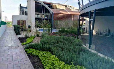 RENTA DE DEPARTAMENTO EN JURIQUILLA AMUEBLADO MODERNO CON ROOF GARDEN padre