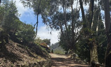 Encantadora finca campestre
