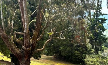 Encantadora finca campestre