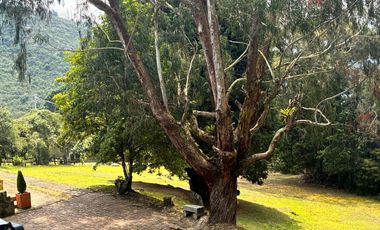 Encantadora finca campestre