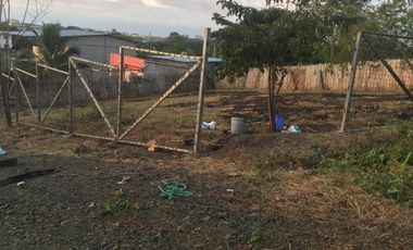 Venta de Terreno en Pedernales Manabi