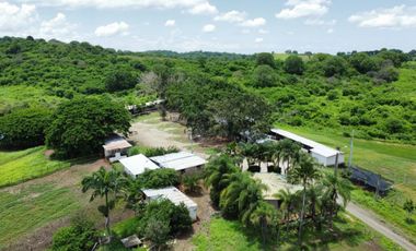 Venta de Finca con Caballeriza en Guayas Vía Playas